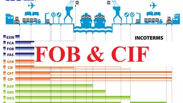 CIF là gì? FOB là gì? Sự khác nhau giữa CIF và FOB