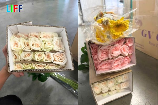 Thủ tục nhập khẩu hoa tươi vào Việt Nam chi tiết từ A–Z mới nhất