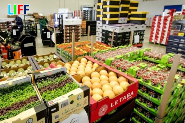 Trung Quốc chính thức thay áp dụng lệnh 280 từ 1/6/2026 - Doanh nghiệp xuất khẩu thực phẩm cần làm gì?