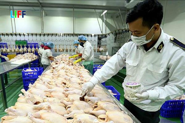 Kiểm tra an toàn thực phẩm nhập khẩu thực hiện theo cơ chế mới từ tháng 9/2026