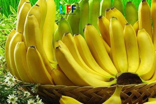 Chi phí xuất khẩu chính ngạch hàng trái cây