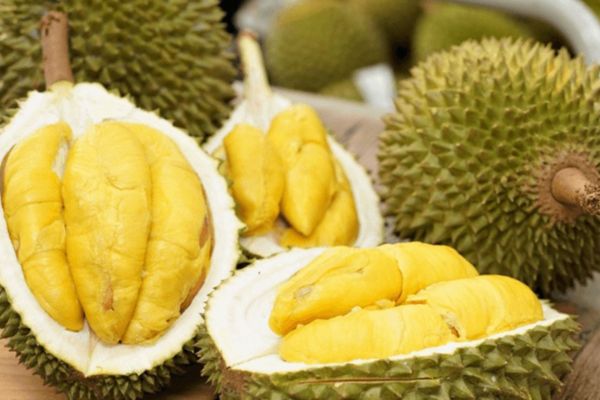 Sầu riêng – Trái cây “vàng” xuất khẩu sang Trung Quốc