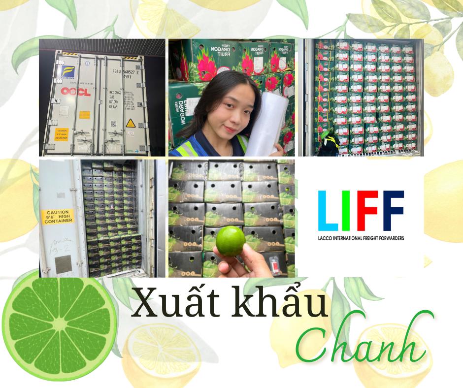 Dịch vụ chính của Lacco liên quan đến xuất khẩu nông sản