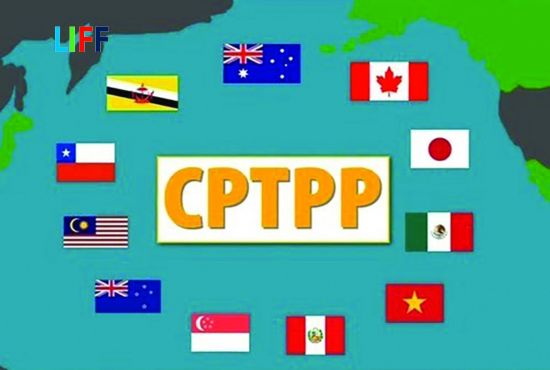 Tổng hợp c&aacute;c mẫu CO CPTPP - Giấy chứng nhận xuất xứ h&agrave;ng h&oacute;a được sử dụng phổ biến