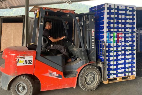 Dịch vụ khai báo hải quan và nhập khẩu trái cây tươi
