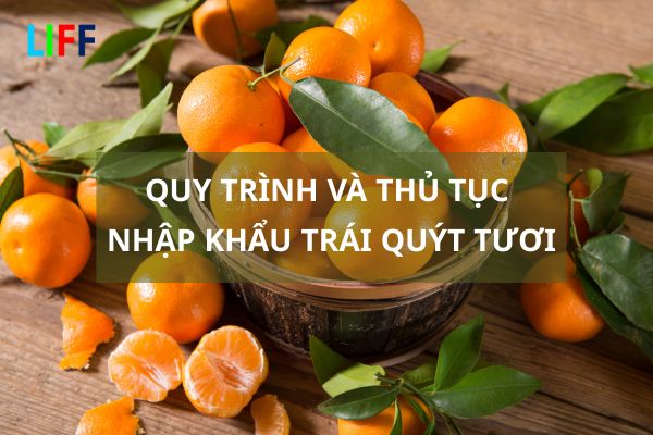 Quy trình và Thủ tục Nhập khẩu Quýt Tươi về Việt Nam