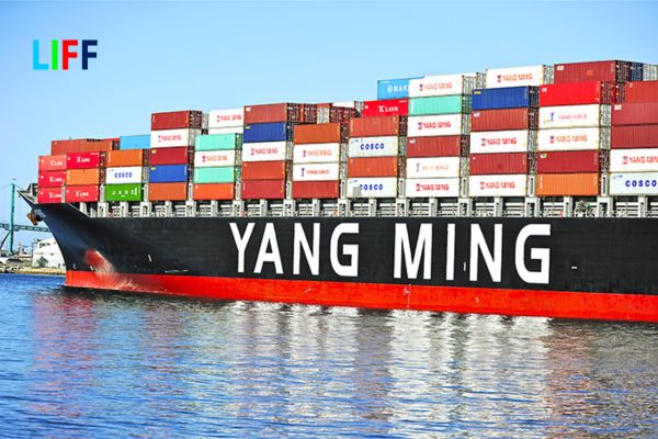 Màu sắc của container có ý nghĩa gì?