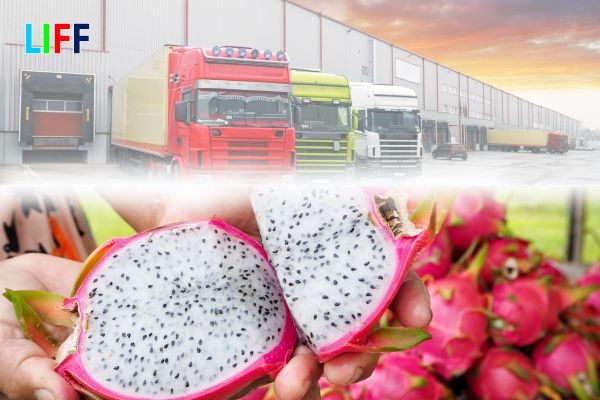 Hình thức và loại Container vận chuyển Thanh Long xuất khẩu