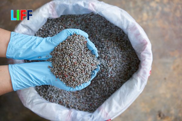 Thủ tục nhập khẩu phân bón vào Việt Nam
