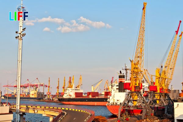 Chuẩn bị chứng từ và kế hoạch đóng hàng