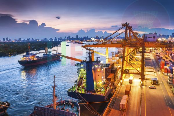 Tác động của SEN đến Chiến lược tuân thủ và Tối ưu hóa chi phí