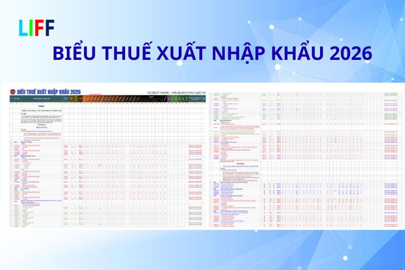 Những lưu &yacute; khi sử dụng Biểu Thuế Xuất Nhập Khẩu 2026