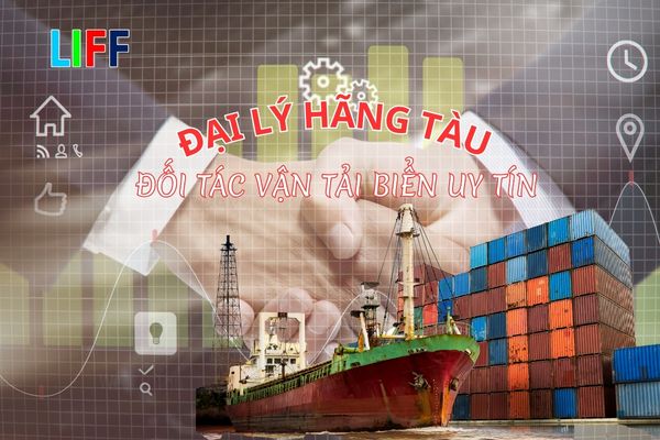 Hãng tàu quốc tế – Đối tác vận tải biển uy tín cho doanh nghiệp xuất nhập khẩu