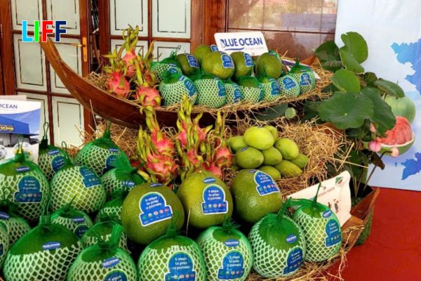 Tiềm năng lớn của bưởi và chanh Việt Nam trên thị trường Trung Quốc