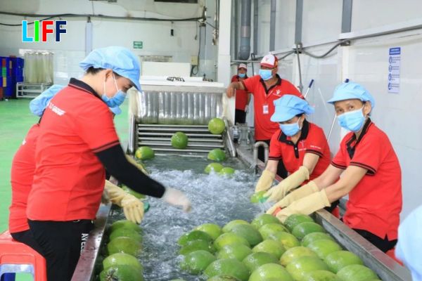 Cơ hội và thách thức khi tận dụng Nghị định thư