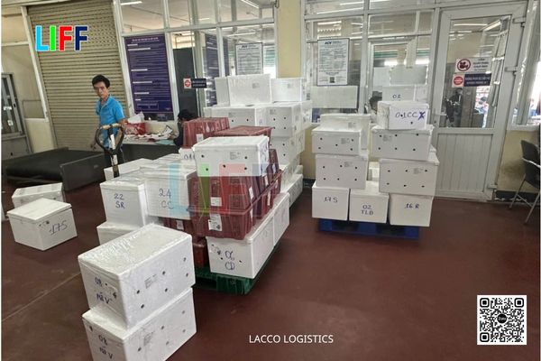 Quy tr&igrave;nh vận chuyển h&agrave;ng h&oacute;a đi Nga tại LACCO Logistics