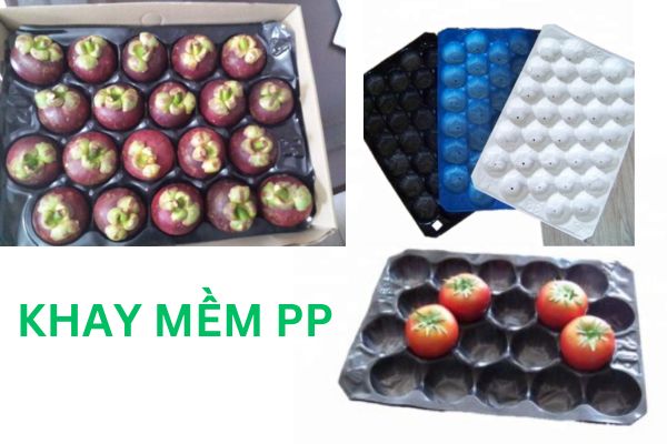 PP SOFT TRAY